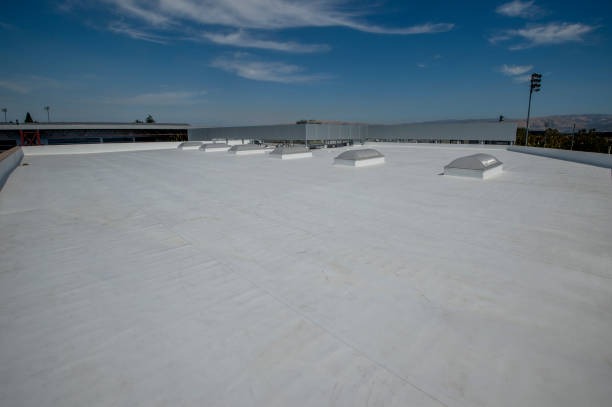 Check This Out How Crawl Space Waterproofing Can Protect Your Property